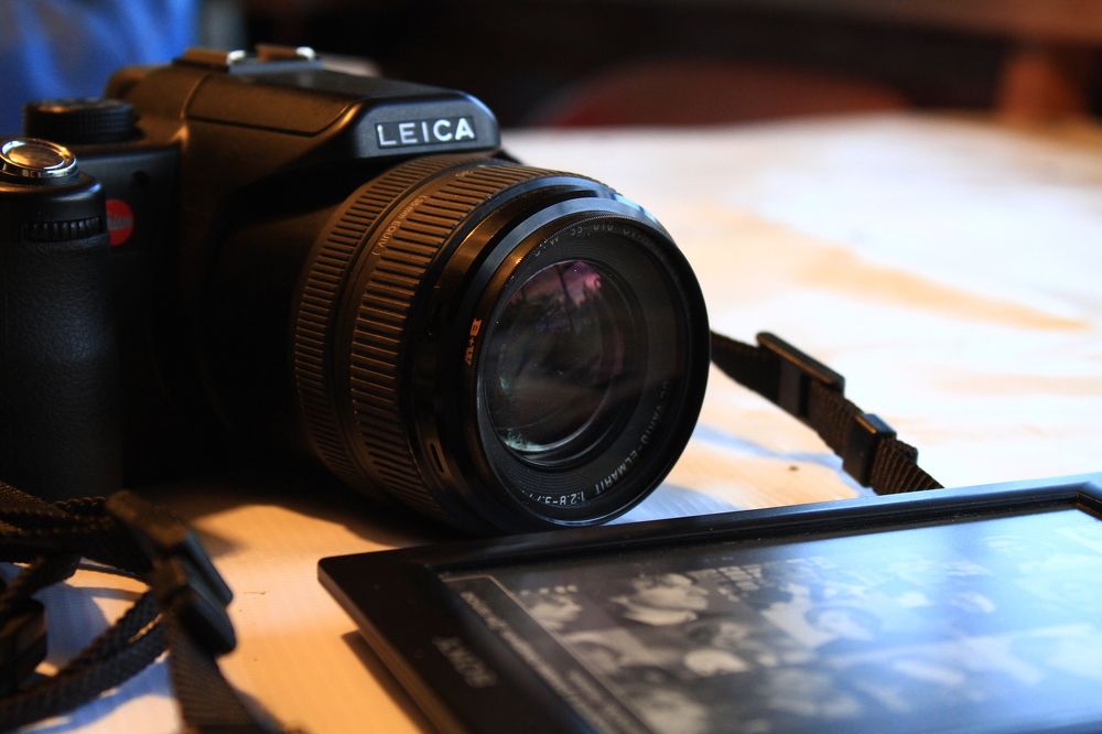 Фотография автора Анастасия Зверева