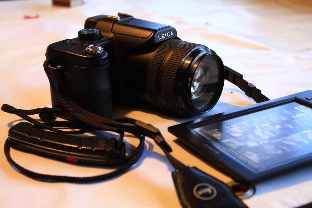 Фотография автора Анастасия Зверева