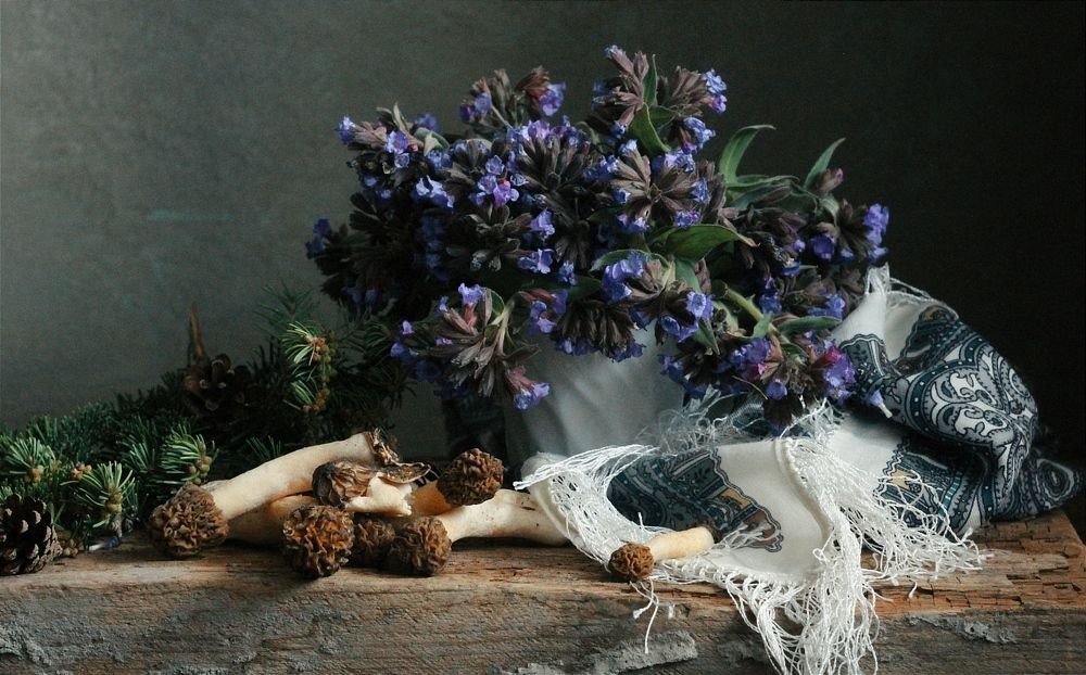 Photograph by Евсеева Валентина