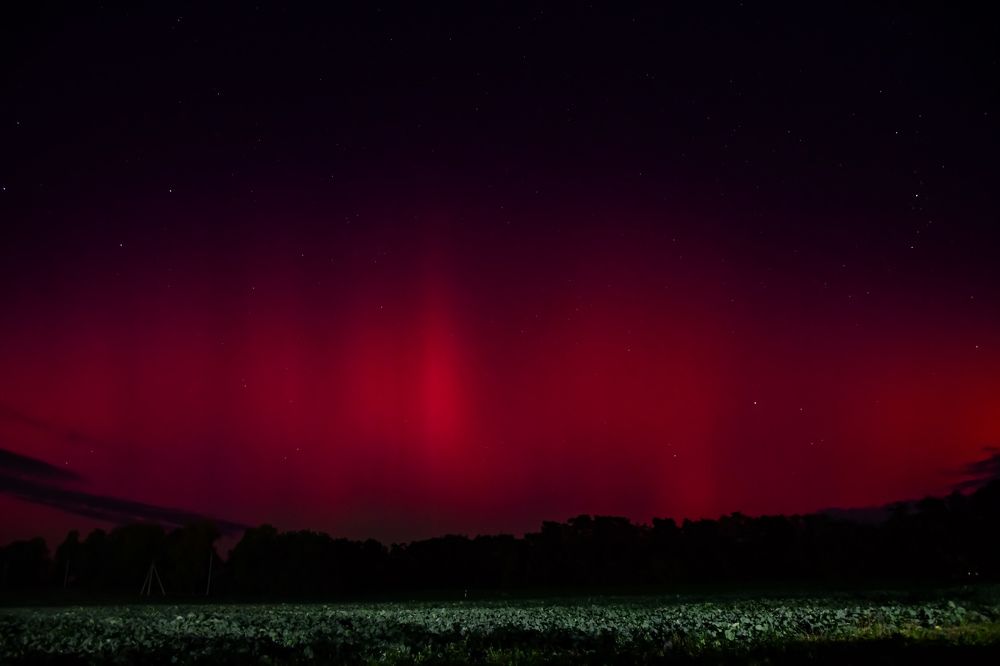 Photograph by Денчук Наталья