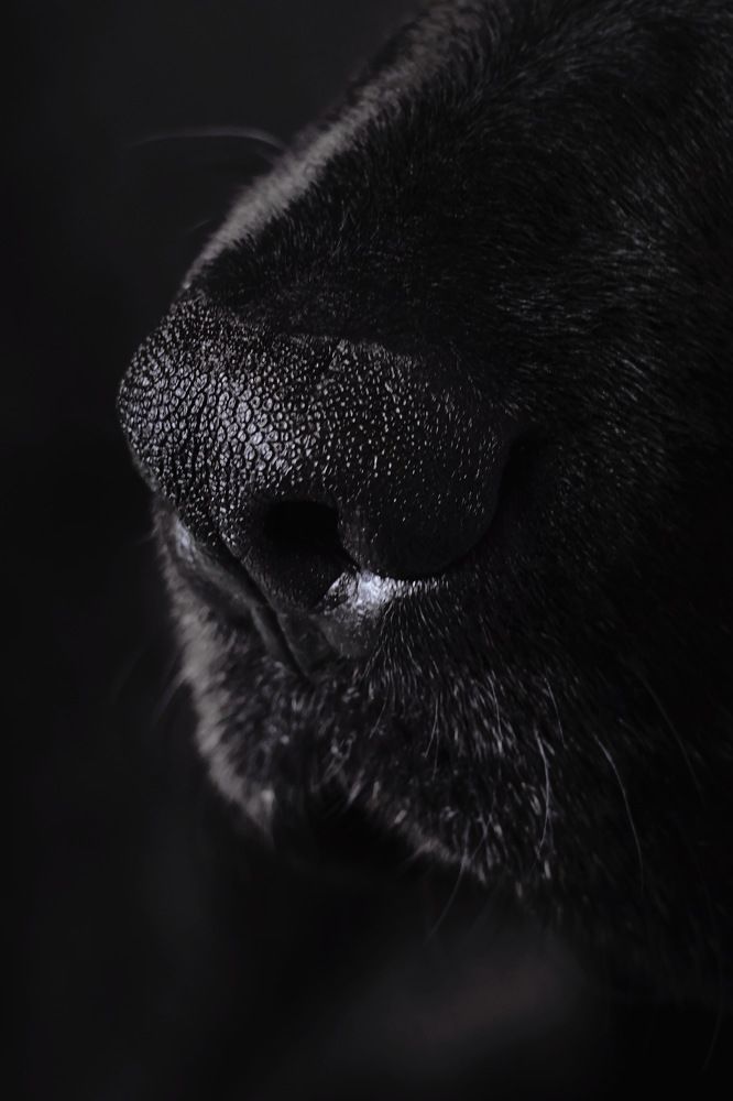 Фотография автора Алёна Калинина