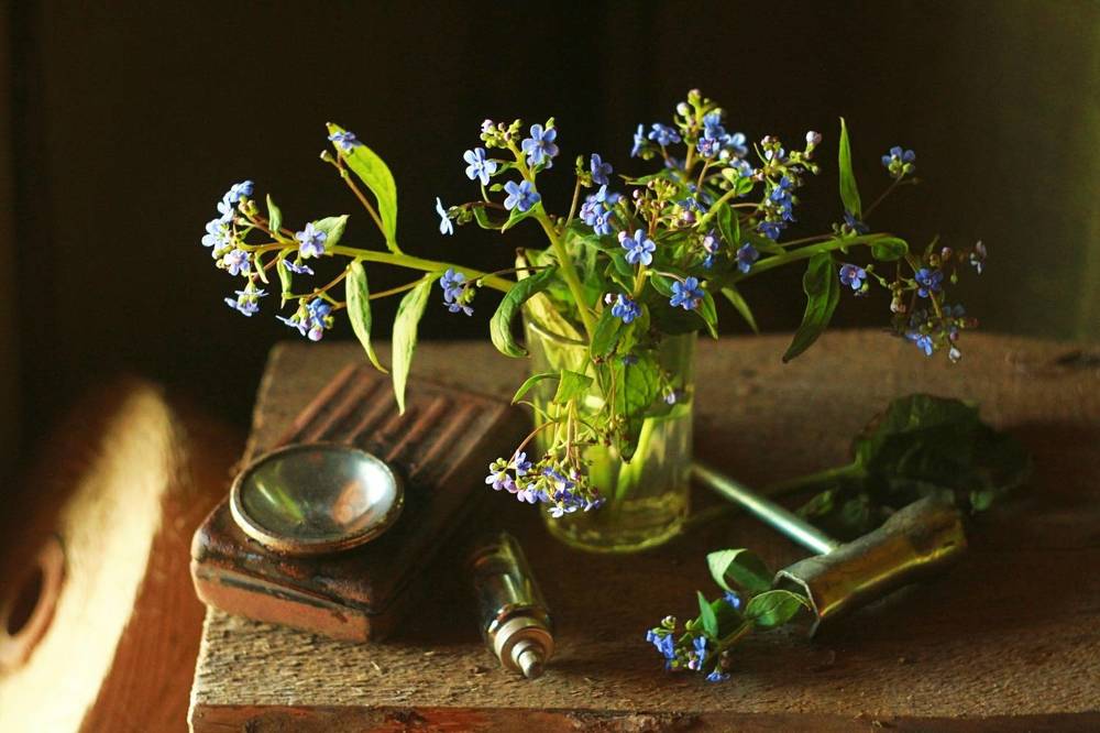 Photograph by Евсеева Валентина