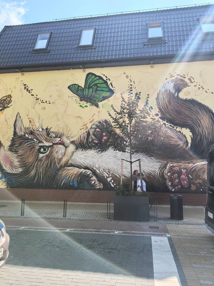 Фотография автора Александр Сипаров