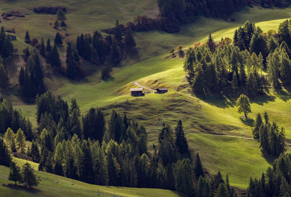 Photograph by Алекс Римский