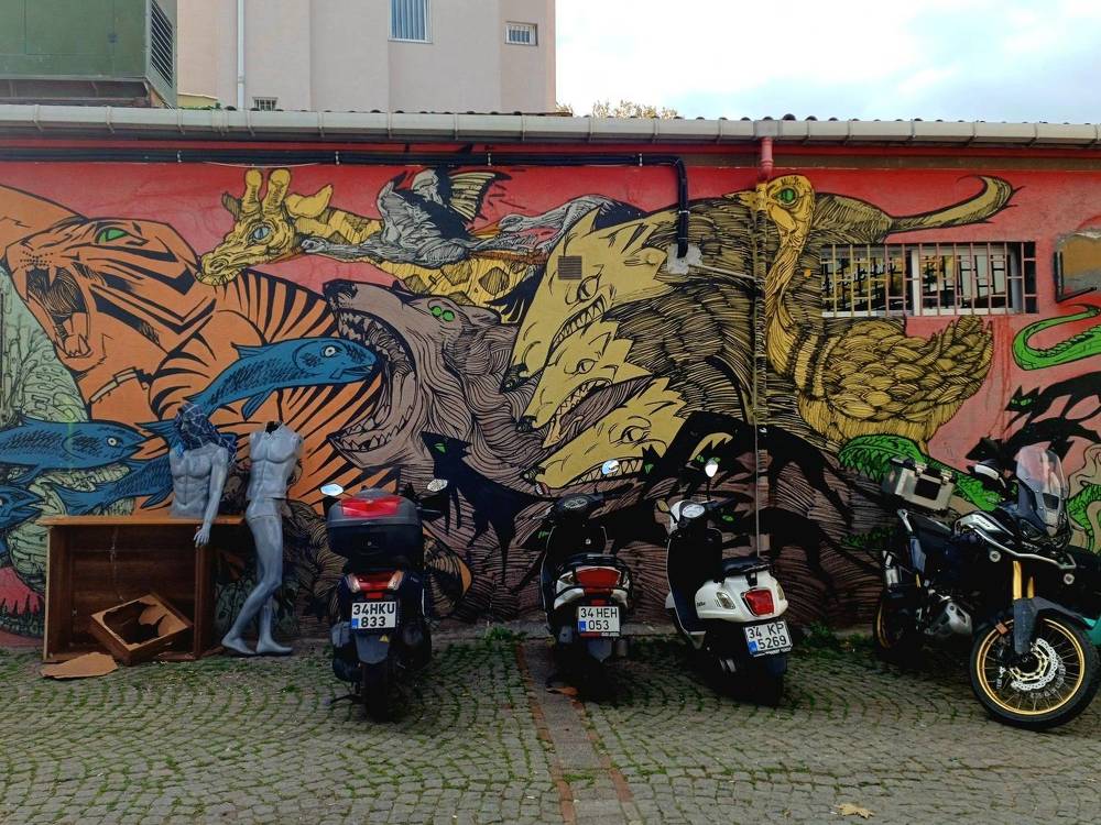 Photo #11320096