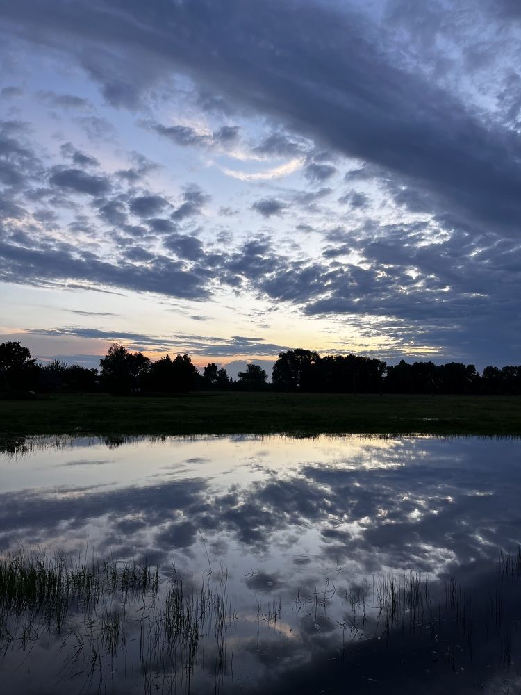 Photograph by Alina Tsilyk