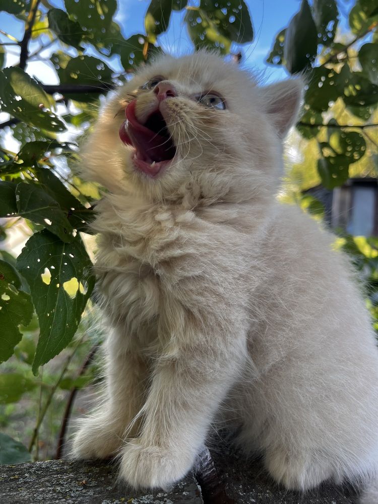 Photograph by Alina Tsilyk