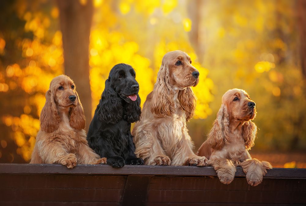 Photograph by Григорьева Юлия