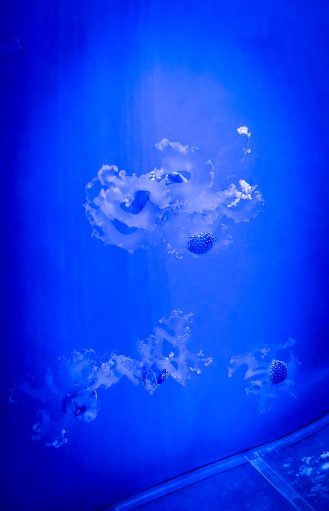 Photograph by Marharita