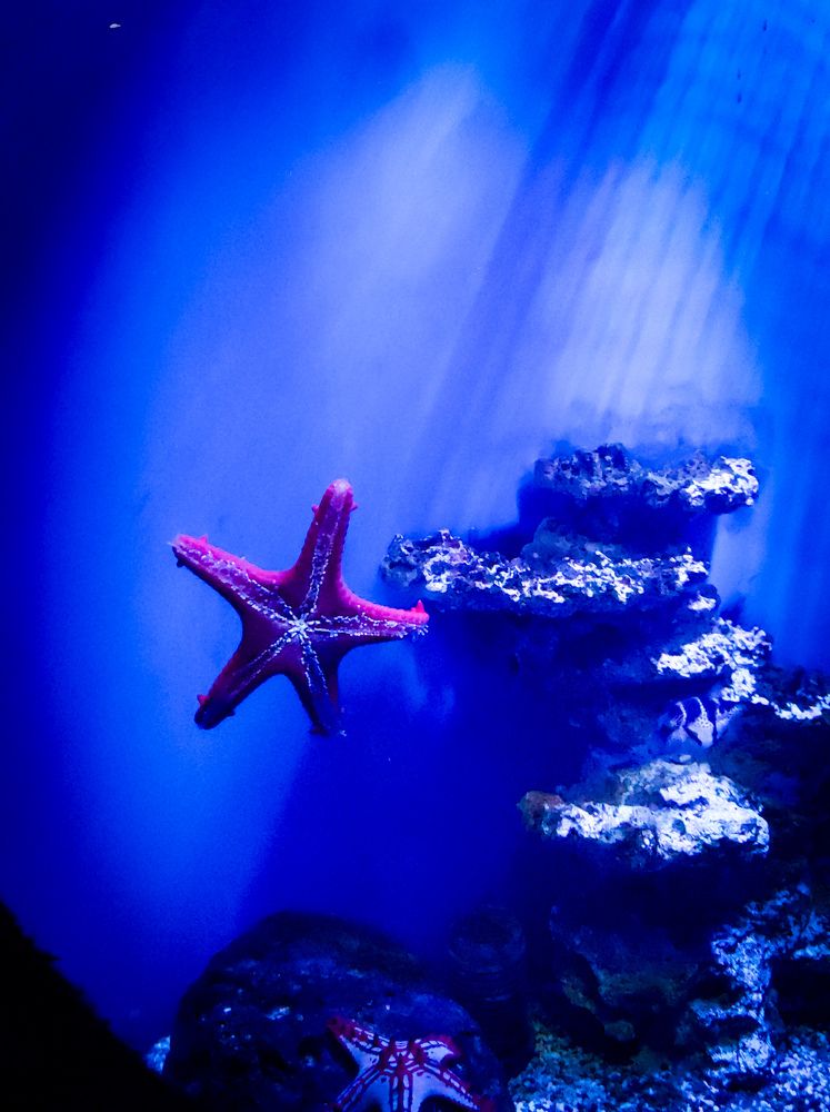 Photograph by Marharita