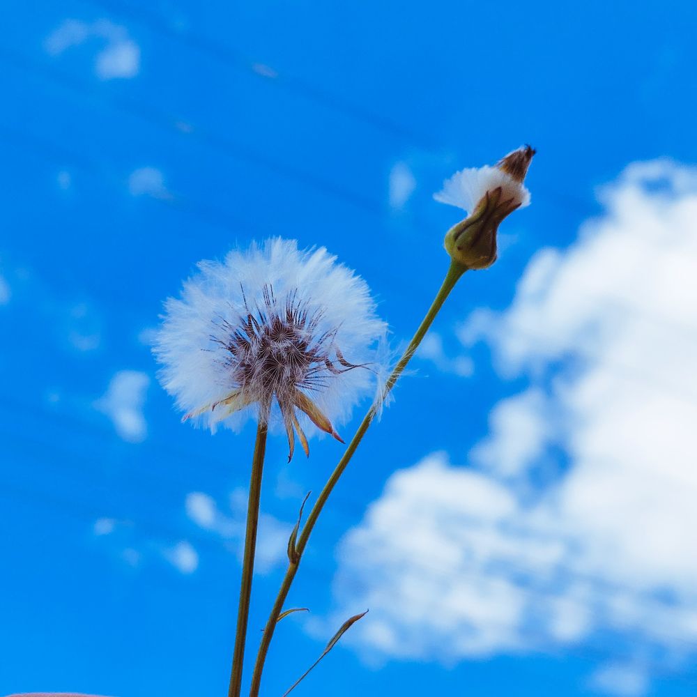 Photograph by Marharita