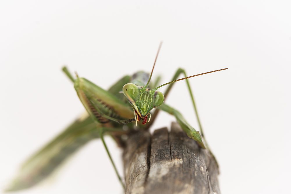 Фотография автора Jorge Luis Gil Rodríguez