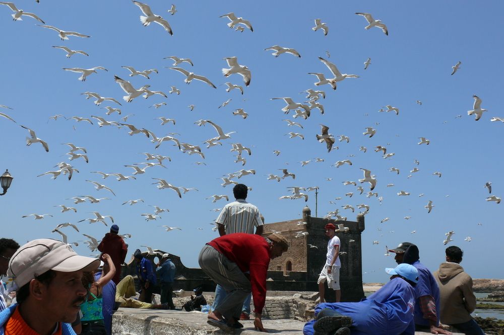 Photograph by Татьяна