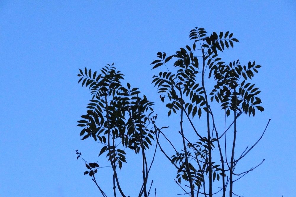 Photograph by jelena konickaja