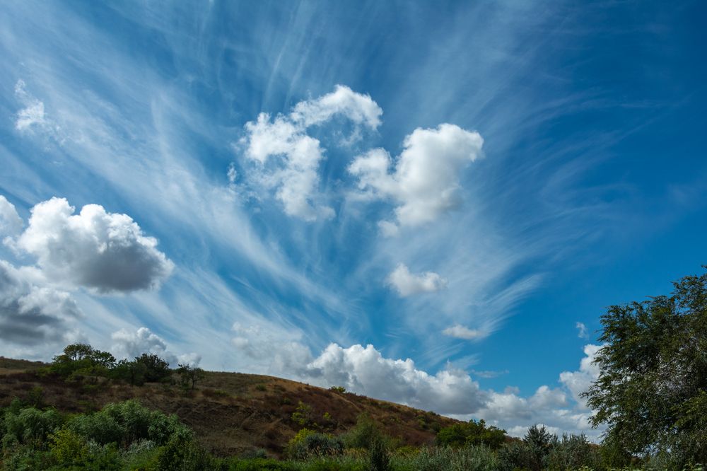 Photograph by Ольга Салтыкова