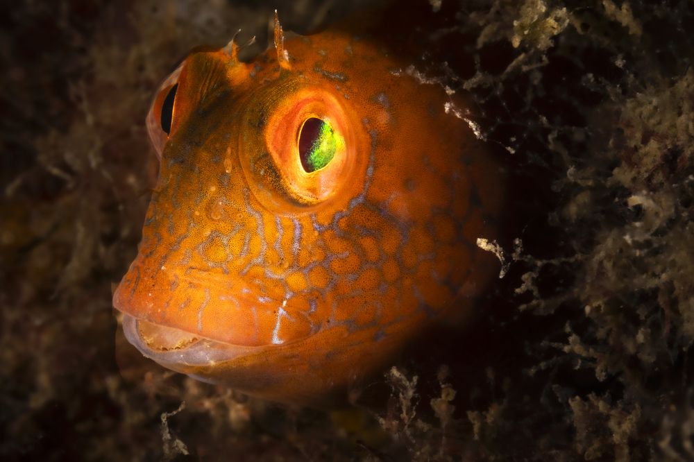 Фотография автора Jorge Luis Gil Rodríguez