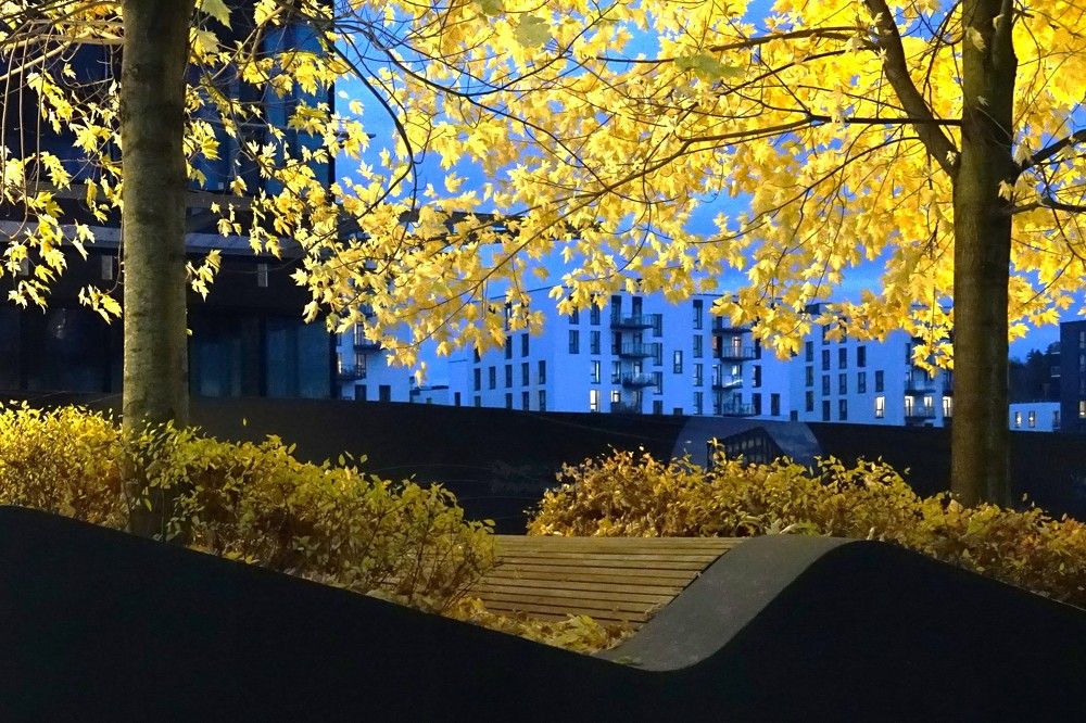 Photograph by jelena konickaja