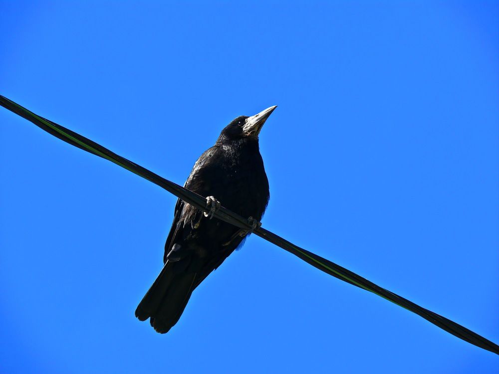 Весна пришла.