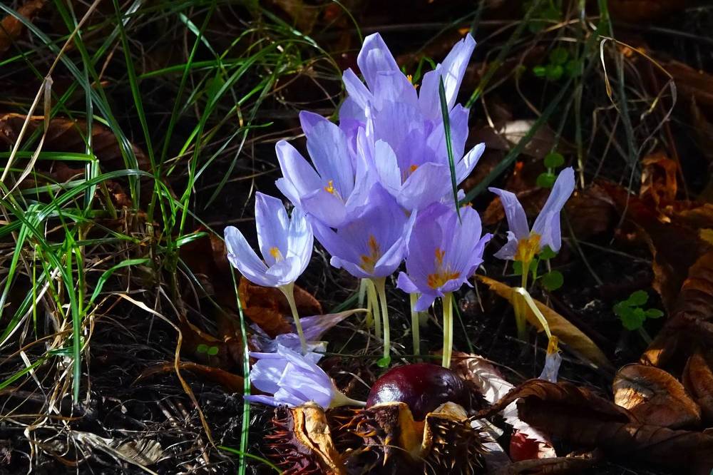 Photograph by jelena konickaja