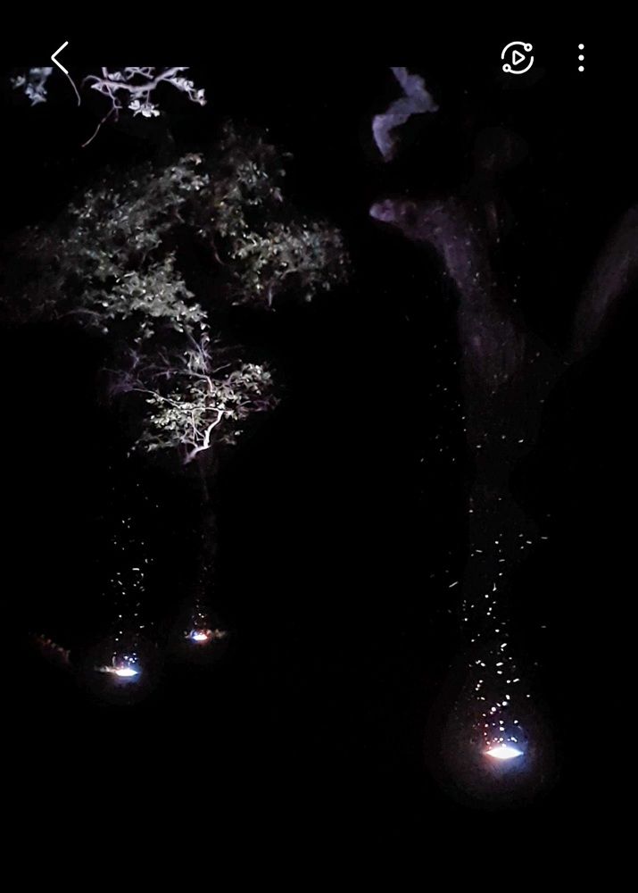 Photograph by Максим Иванов