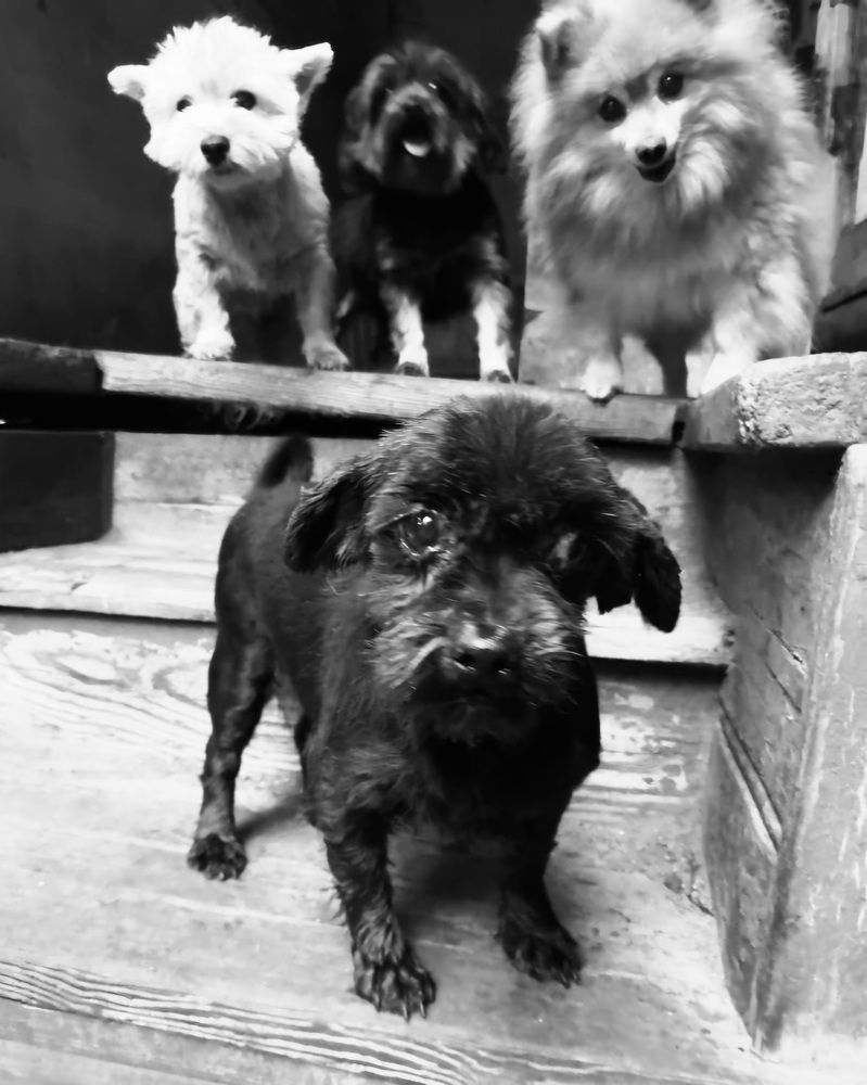 Photograph by Максим Иванов