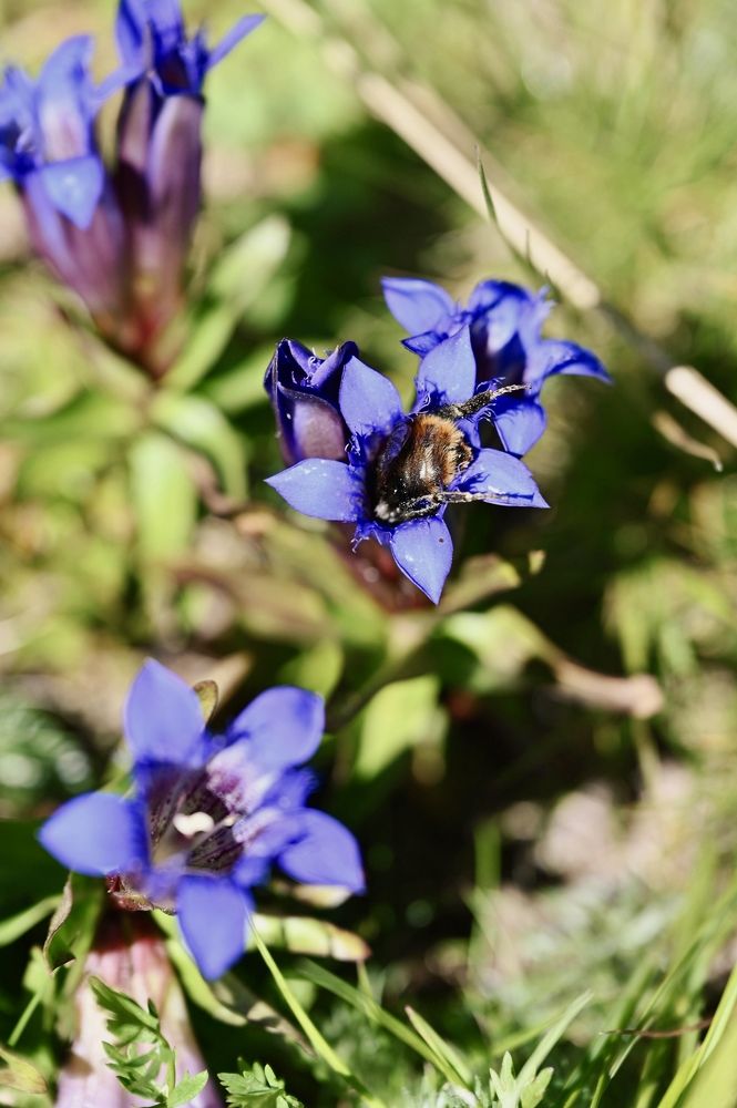 Photograph by Iva Ajva