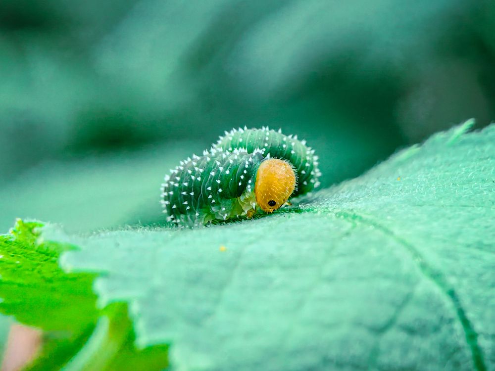 Photograph by Елена Макеева