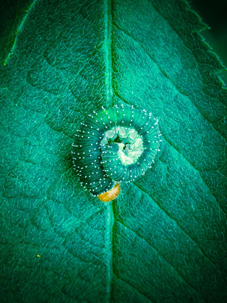 Photograph by Елена Макеева