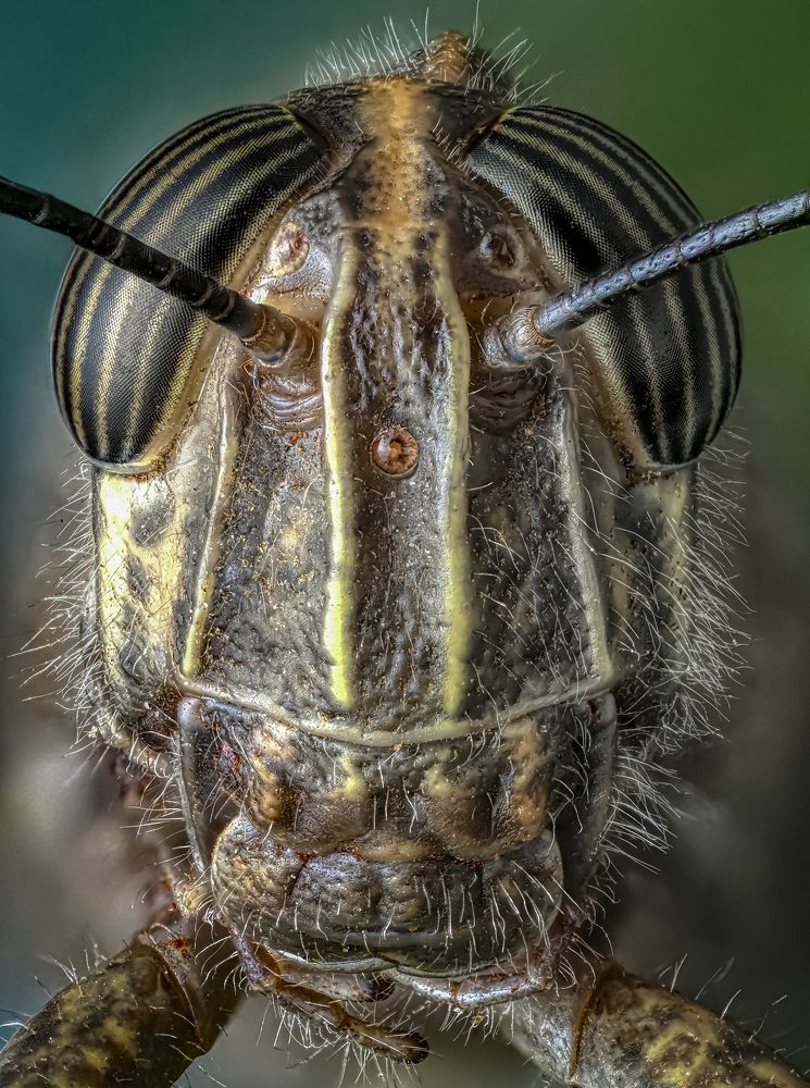 Photograph by Олег Савицкий