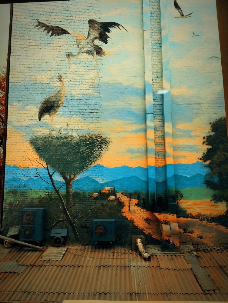 Photograph by Владимир Ким