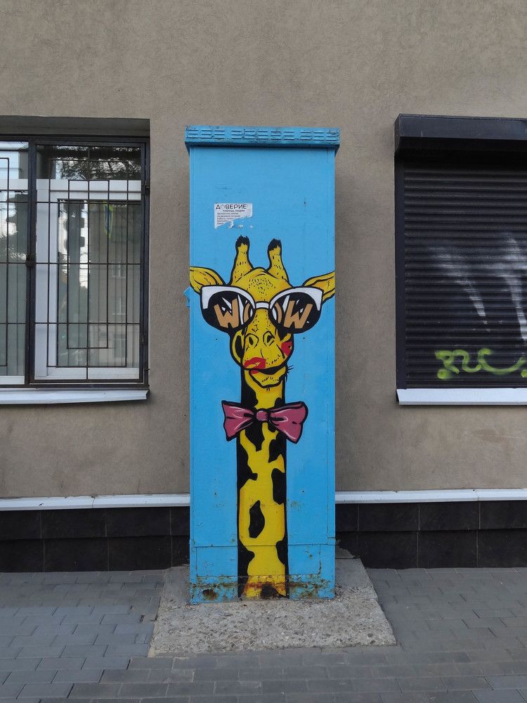 Фотография автора Ирина Дашевская