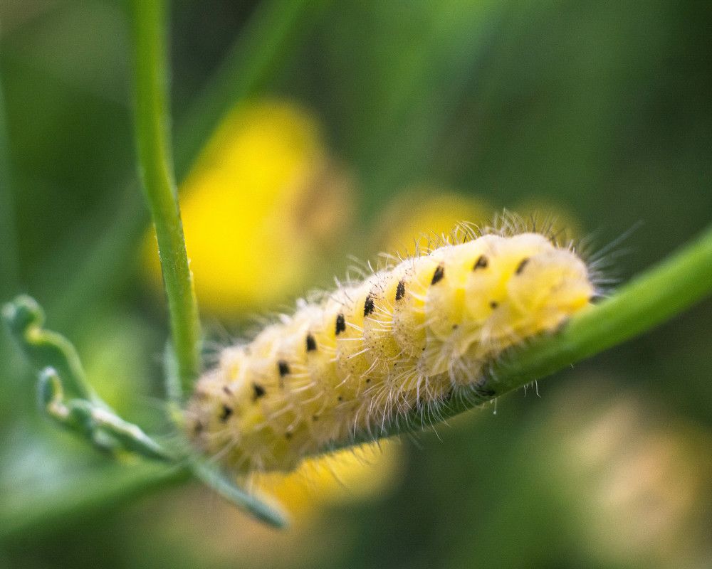 Photograph by Людмила Прибылова