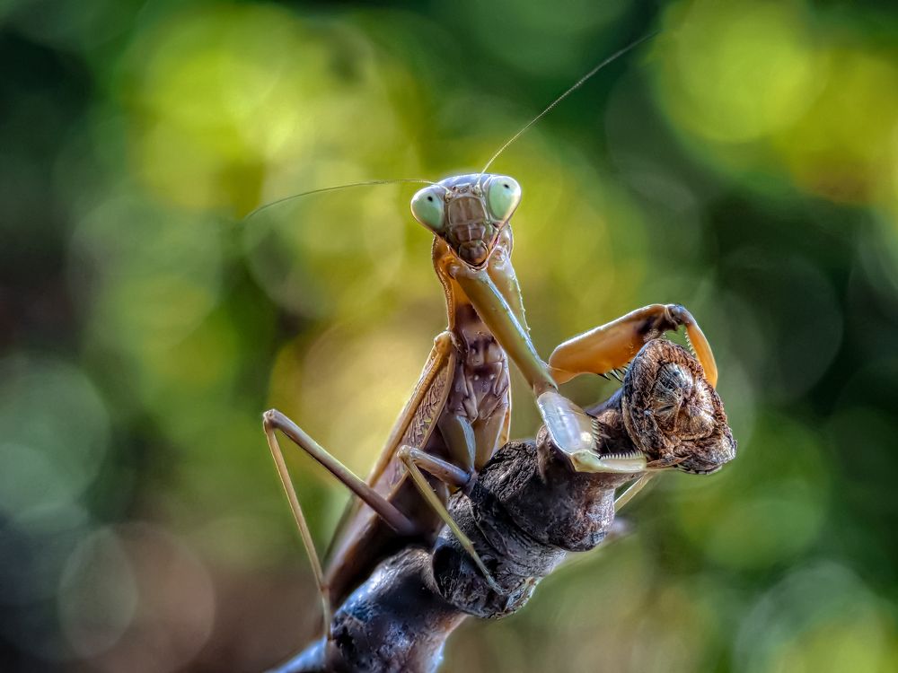 Photograph by Олег Савицкий