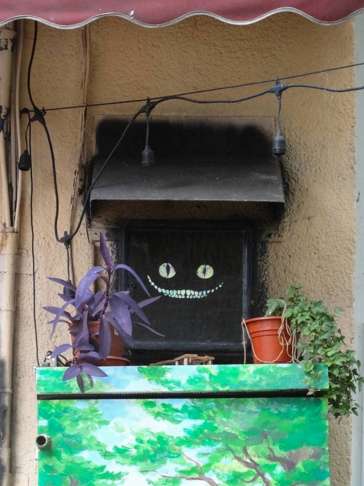 Фотография автора Ирина Дашевская