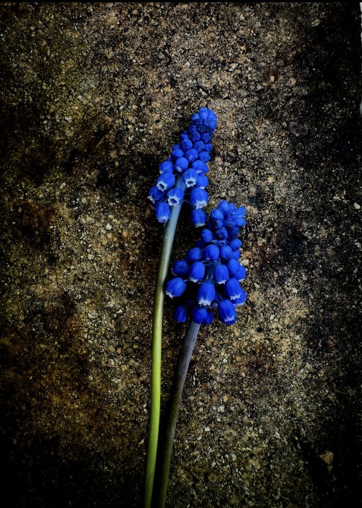 Photograph by Людмила Лукьяненко