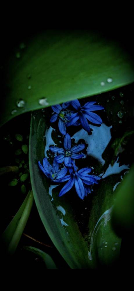 Photograph by Людмила Лукьяненко