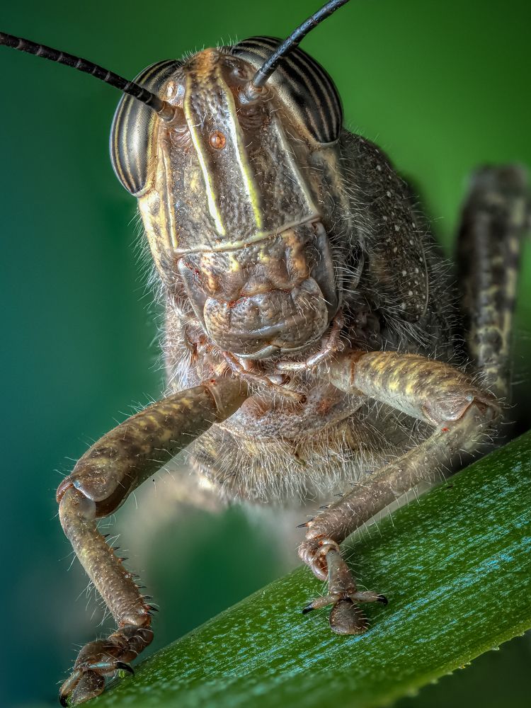 Photograph by Олег Савицкий