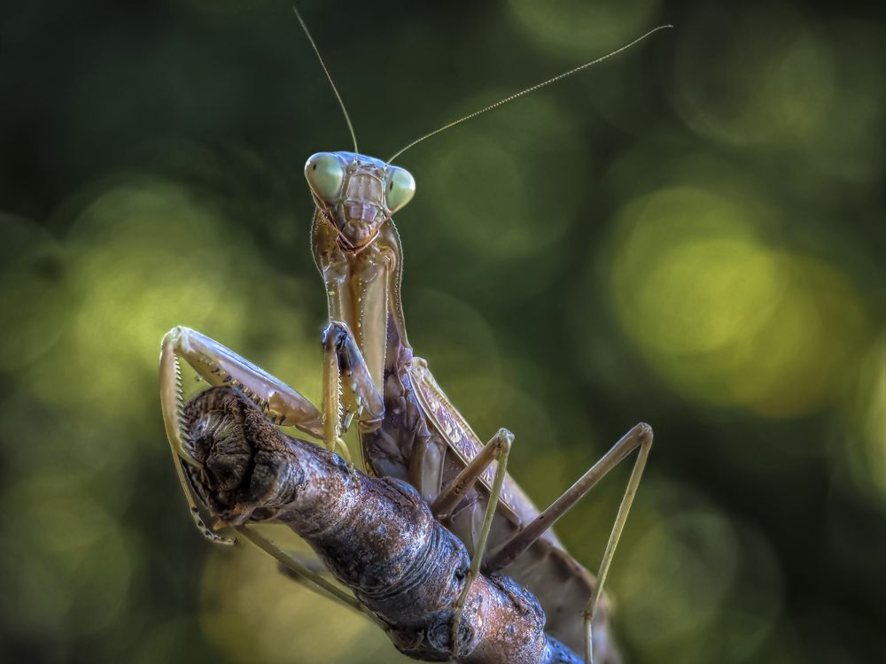 Photograph by Олег Савицкий