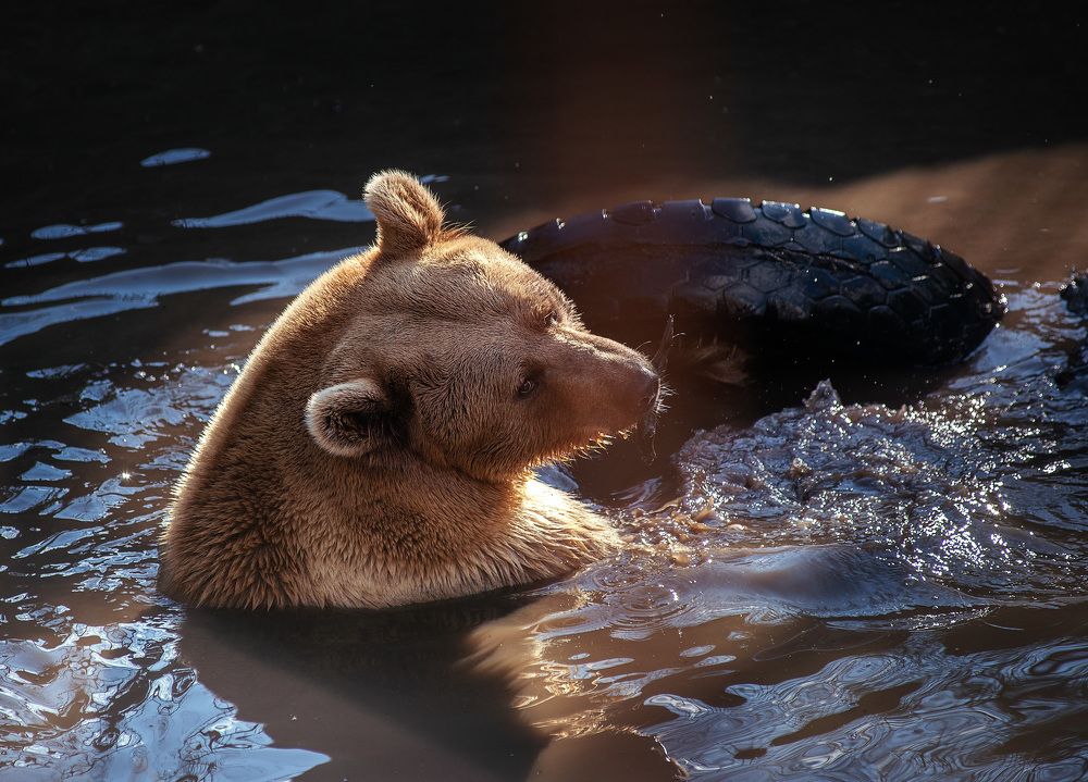 Photograph by Григорьева Юлия