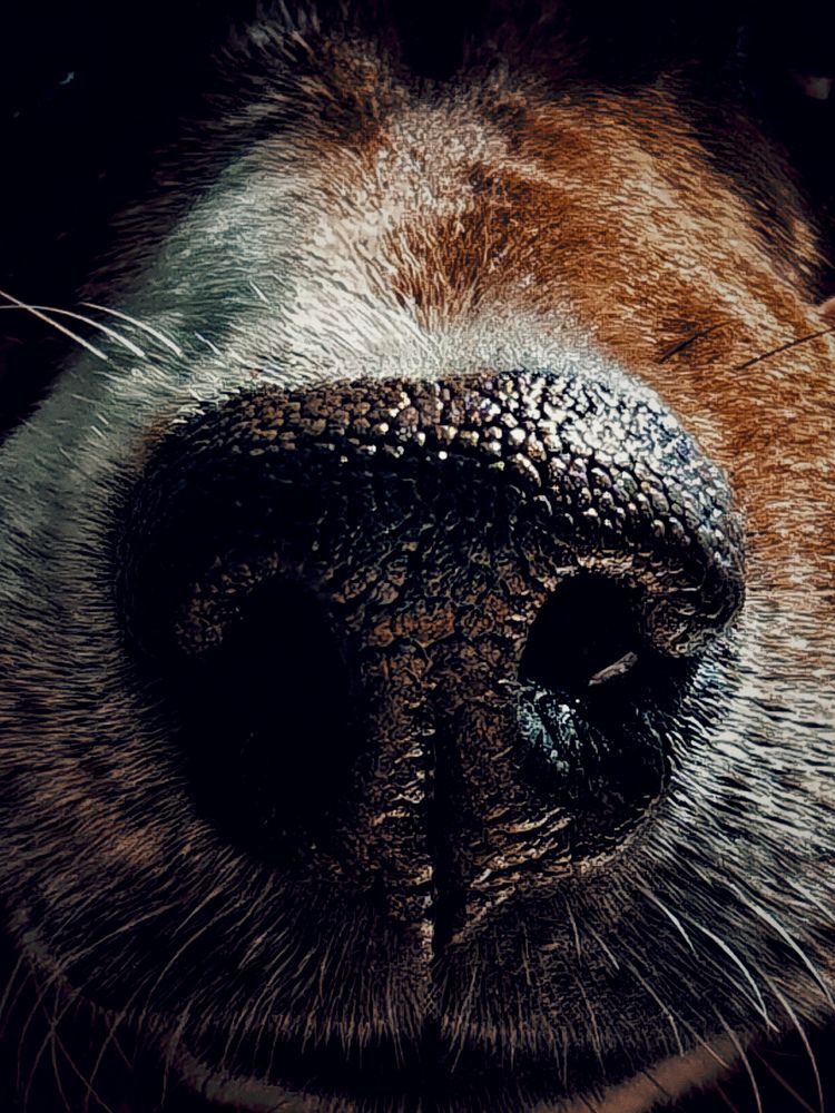 Photograph by Nastassia Krychautsova