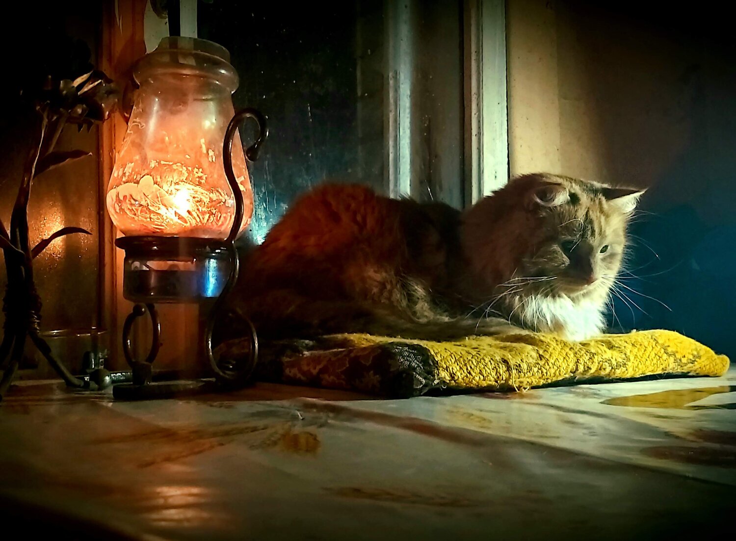 Photo #11320453