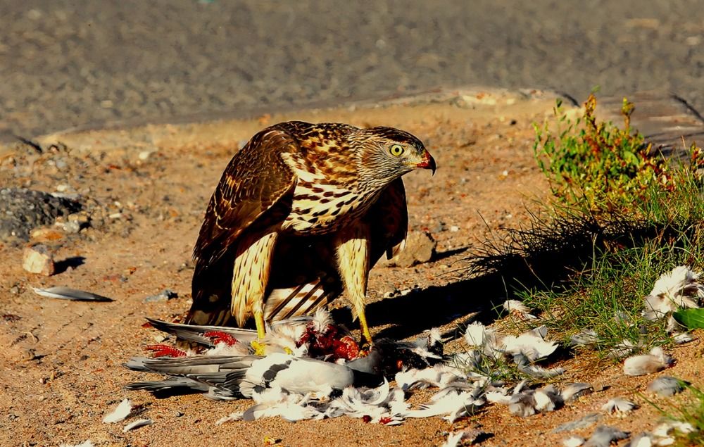 Photograph by Татьяна Слесарева