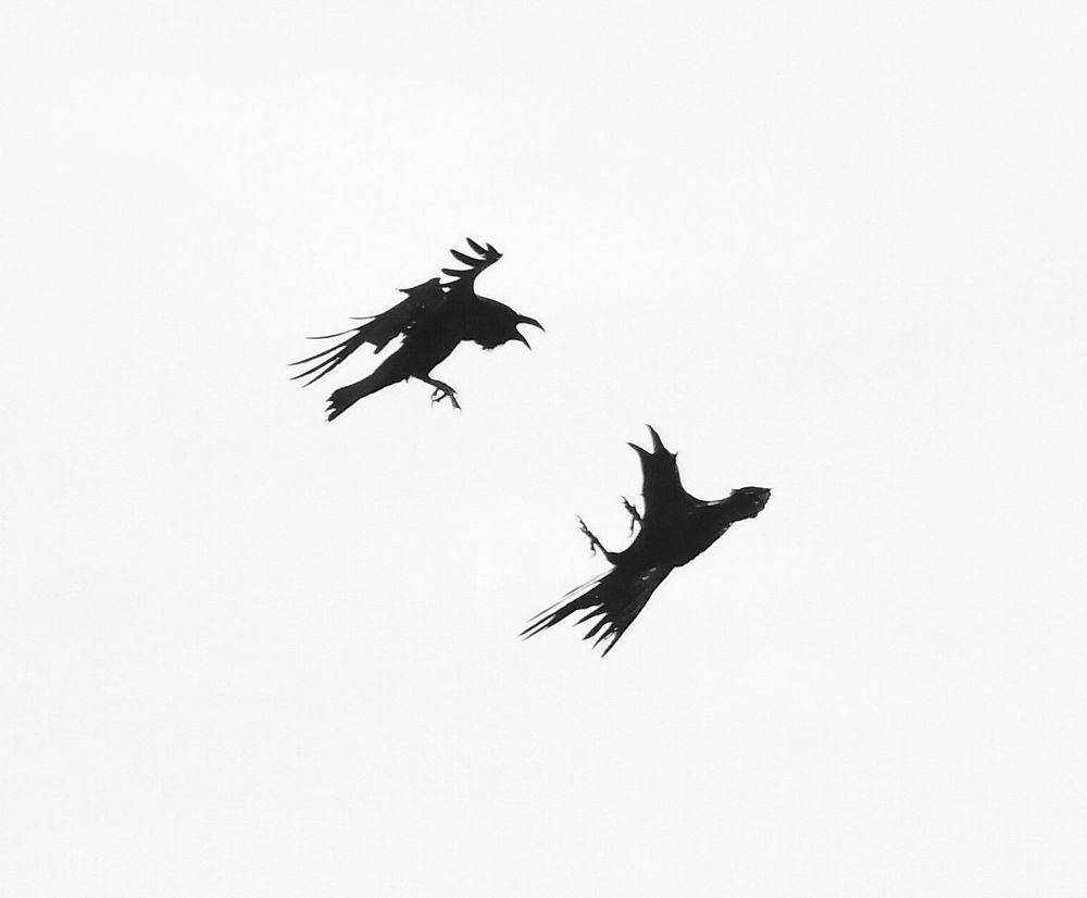 Photograph by Николай Абакумов