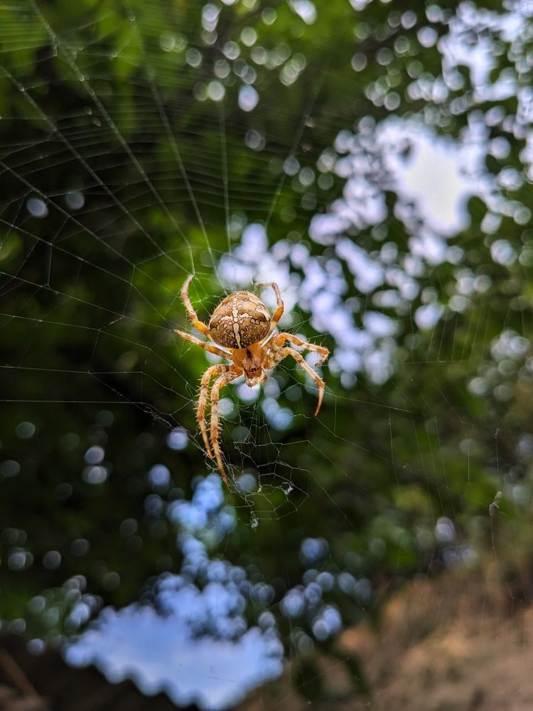 Photograph by Константин Косяков