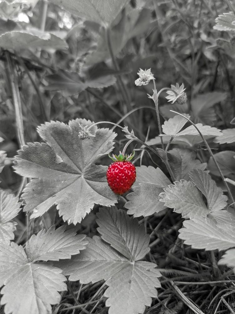 Photograph by Константин Косяков