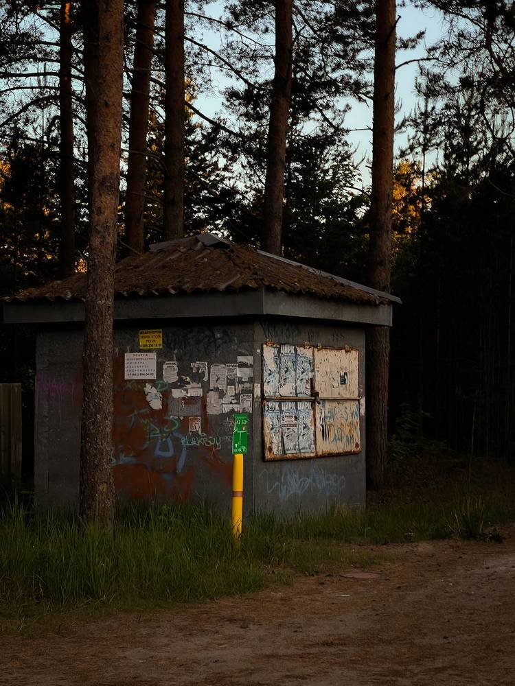 Photograph by Виктория Дворецкая