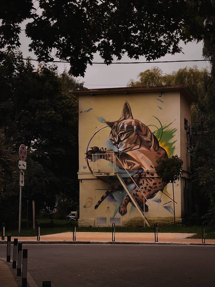 Photograph by Виктория Дворецкая