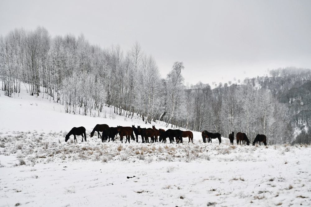 Photograph by Iva Ajva