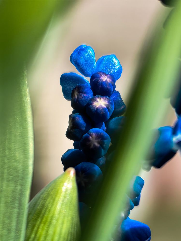 Фотография автора Ольга Панасюк