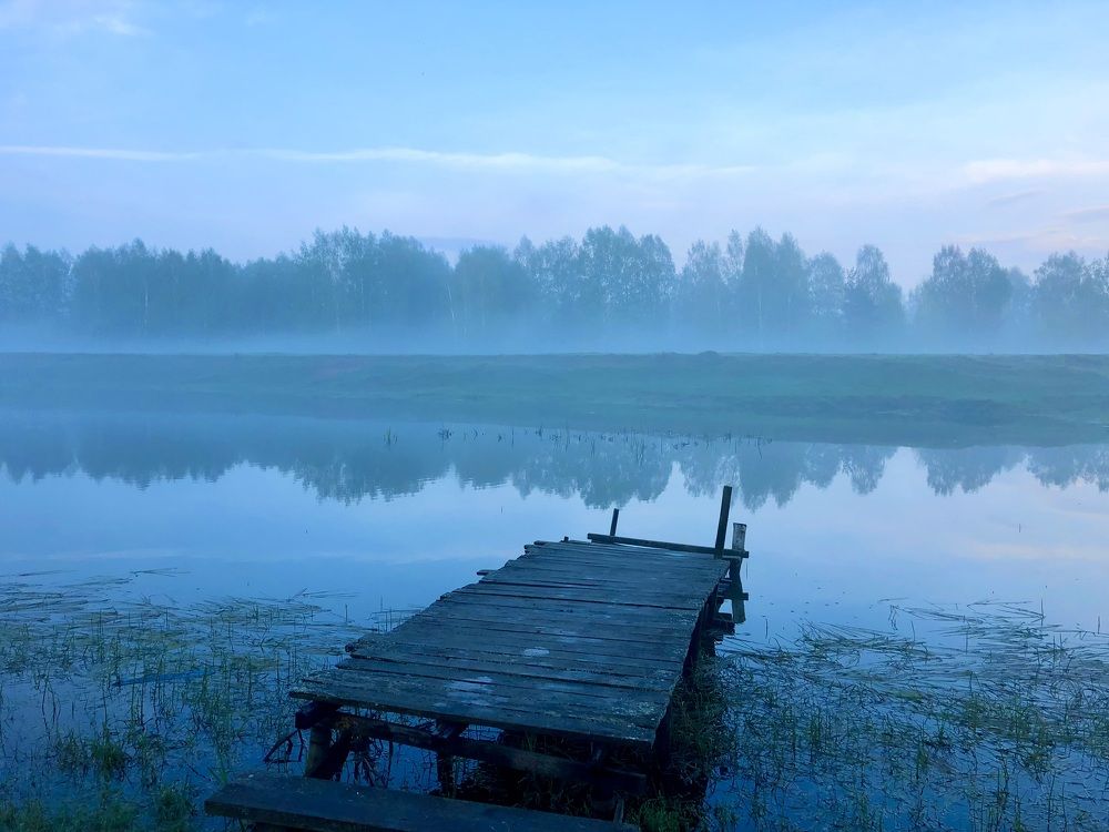 Photograph by Ирина Швейнова